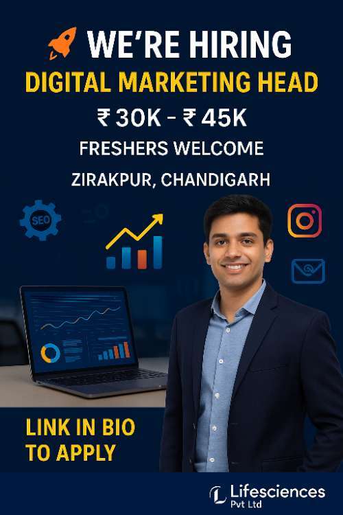 Digital Marketing Head Job in Chandigarh